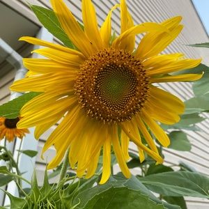 Meet your Posher, Debi